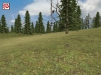 GM_WILDFOREST_V2