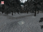 DM_WINTER_FORREST_BETA