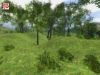 GG_WOODS