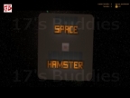 GG_SPACEHAMSTER