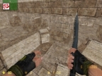 GG_PRUDEN