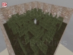 GG_MAZE_BETA