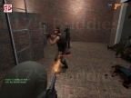 GG_BRICKWALLS2