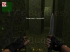 GG_HEDGE_MAZEV3