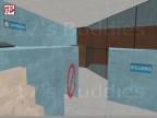 INTEL_RACE