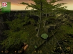 DE_FROSTICLES_FORREST