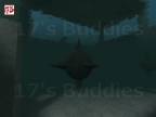 FY_POOLPARTY_REAPER_V3_FIXED2