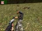 FY_RECON_SAYS_V1