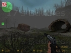 FY_FOREST_ZB1
