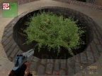 AIM_ARENA_ENV_BV1