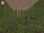 AIM_M4_AK