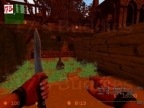 AIM_DVORISTE_SKULL