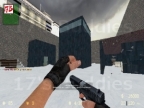 AIM_SNOWCAMPFIGHT_T13