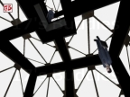 HYPERCUBE