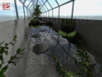 BHOP_GREENHOUSE