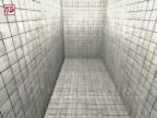 KA_TILESHANK