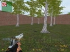 MG_HIDDEN_WEAPONS_V1