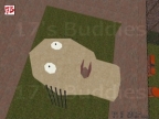 GHS_ANUS