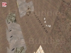 AIM_FUN_EGG