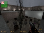 AIM_ORLANDO
