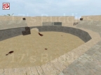 ZM_AMPHI