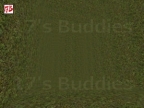 FY_GRASS_ARSKAX