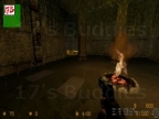 GG_ZAR_SWAMP
