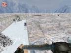 FY_SNOWICK