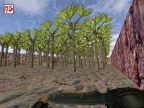 AIM_TROPICAL