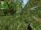 AIM_XANMAZE