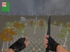 ZM_ACER