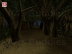 ZN_FOREST
