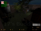 ZM_FACED