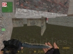 ZM_RANDOMLY_B4