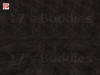 FARM_M249