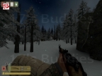 DOD_BASTOUGNE_WOODS