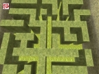 KA_GRASSYLABERYNT
