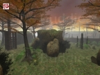 FY_NATURE