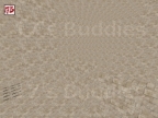 AIM_CT_VS_T