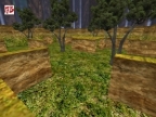 AIM_MAP_USP_FOREST