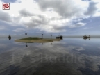 GM_FLATWATER