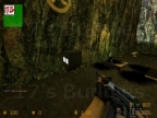 MG_RUSS_TEAM_DOG-ATTACK