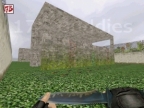 AIM_GRASSYARD