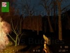 AIM_USP_FOREST