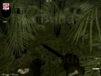 AIM_JUNGLEHILLS