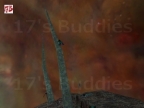 COLONYX_R