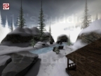 DE_WINTER_FOREST