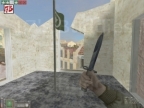 DOD_AVALANCHEFLAG6