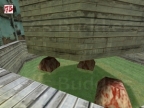 5_MINUTEN_TERRINE