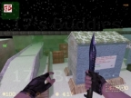 ZM_ASSAULT_SNOW_100